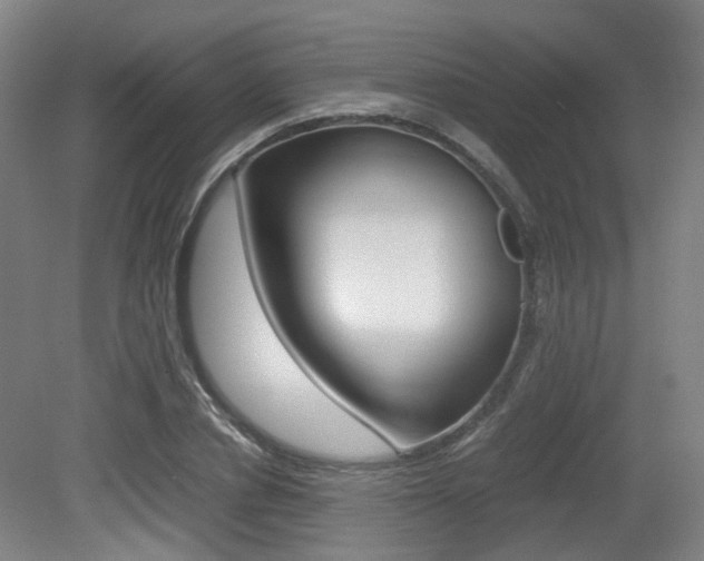 X0000079320834200611170928