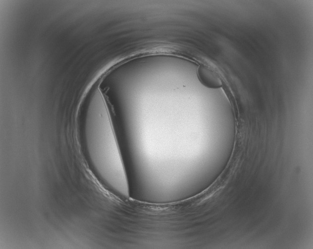 X0000079320835200611170928