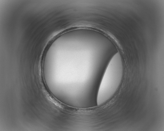 X0000079320840200611170928