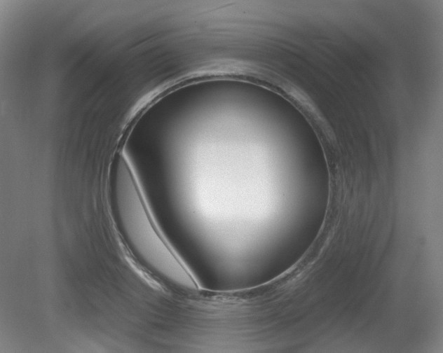 X0000079320842200611170928