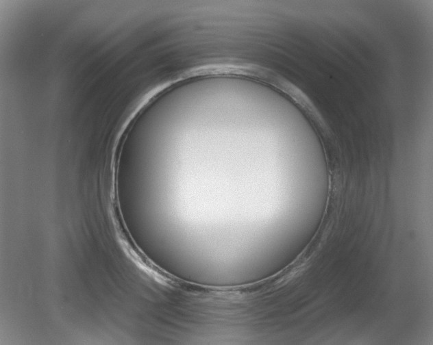 X0000079320844200611170928