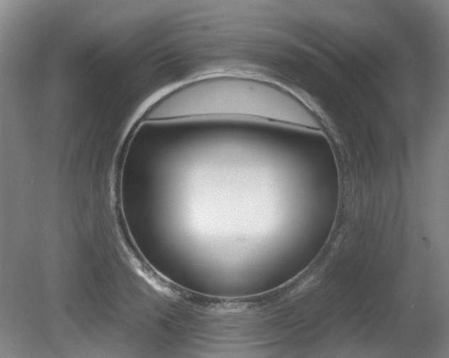X0000079320846200611170928