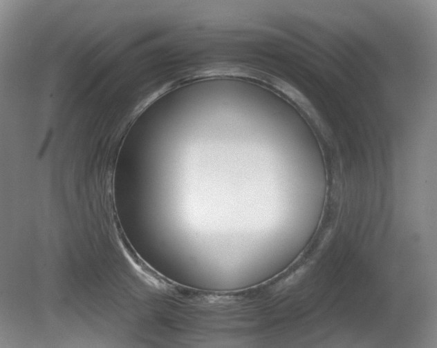 X0000079320849200611170928