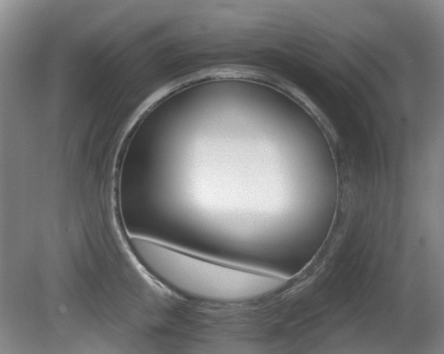 X0000079320853200611170928