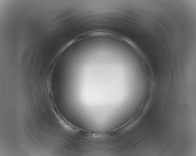 X0000079320857200611170929