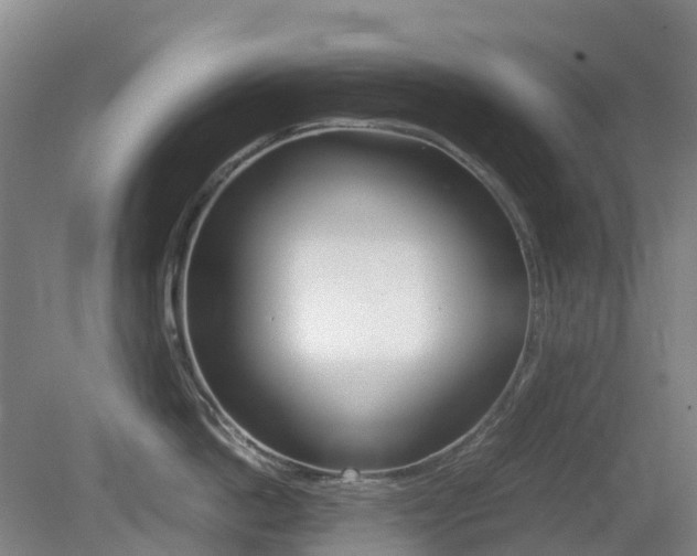 X0000079320862200611170929