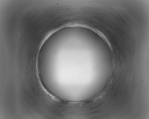 X0000079320863200611170929