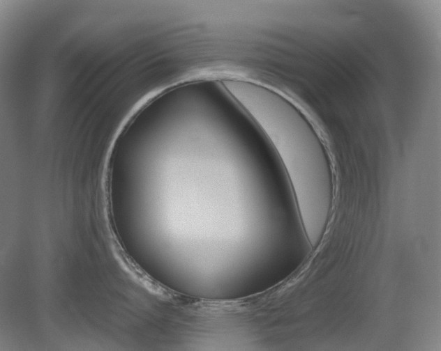 X0000079320864200611170929