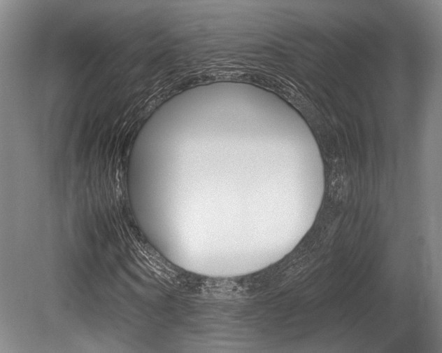 X0000079320866200611170928