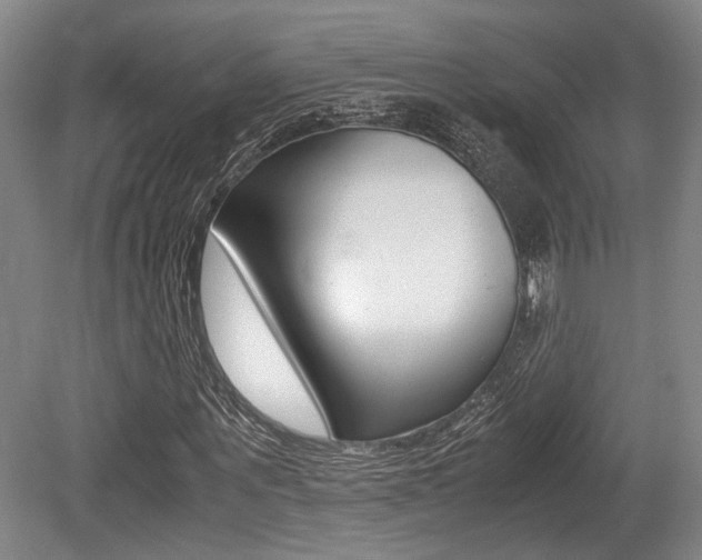 X0000079320867200611170928