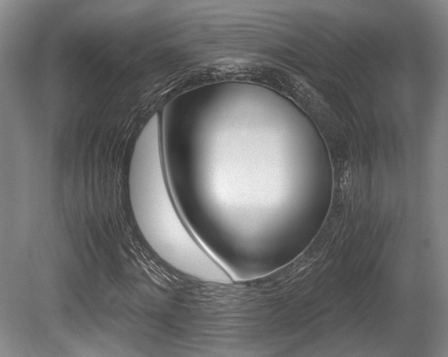 X0000079320868200611170928