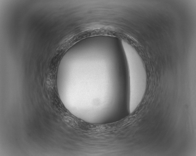 X0000079320869200611170928