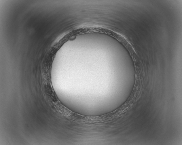 X0000079320871200611170928