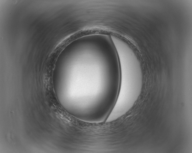 X0000079320872200611170928