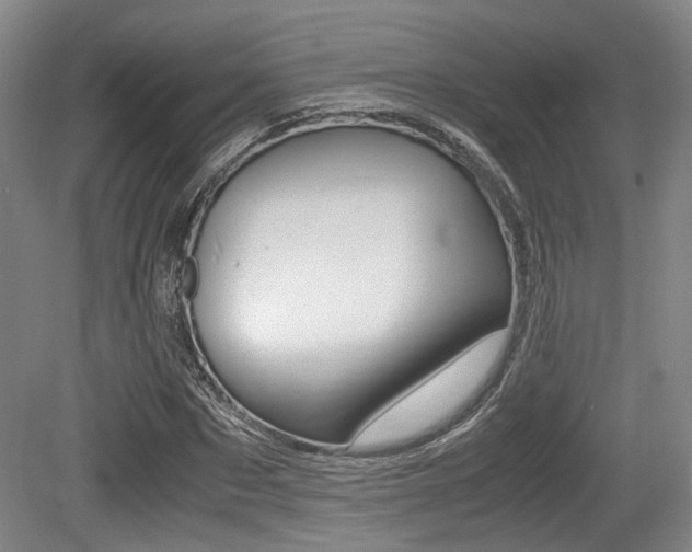 X0000079320873200611170928