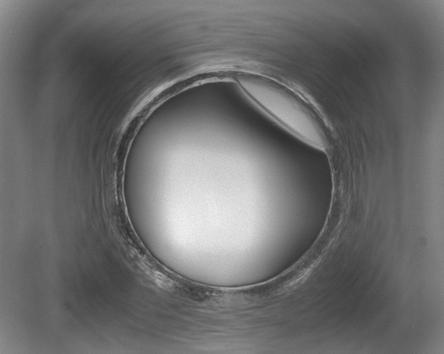 X0000079320877200611170928