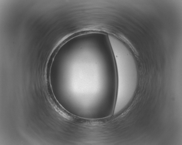 X0000079320884200611170928