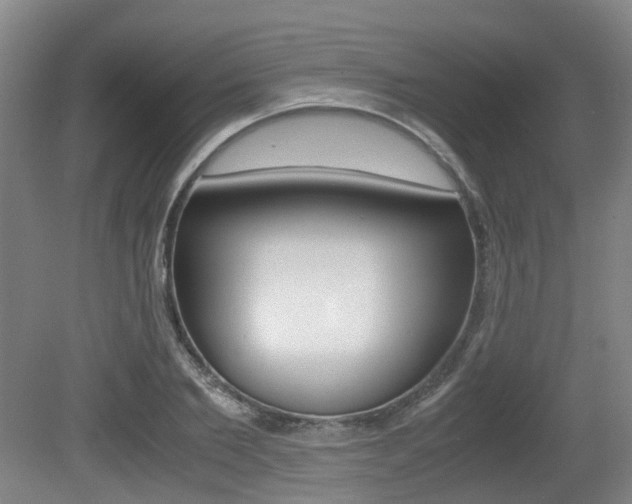 X0000079320885200611170927