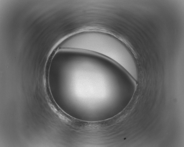 X0000079320888200611170927