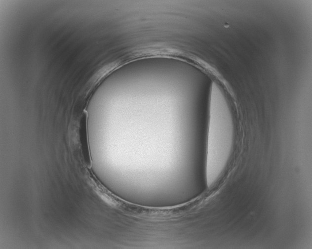 X0000079320889200611170927