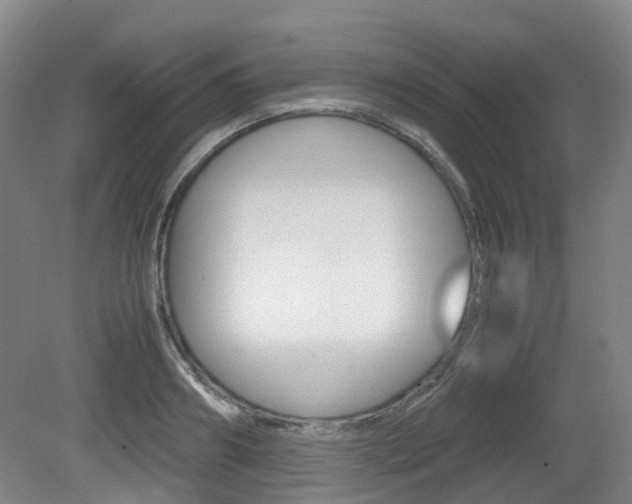 X0000079320890200611170927