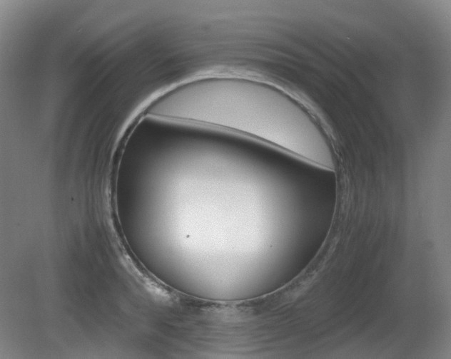X0000079320896200611170927