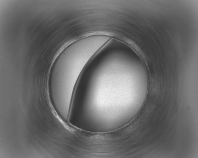 X0000079320898200611170927