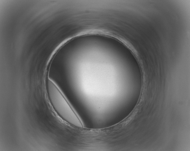 X0000079320912200611170927