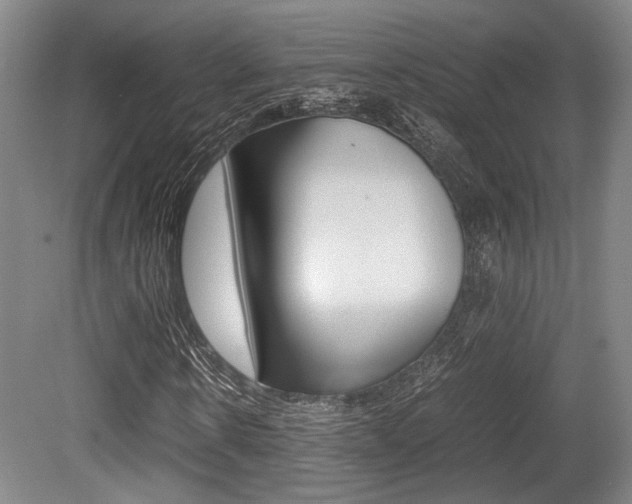 X0000079320914200611170926