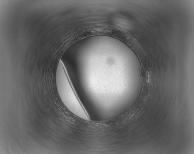 X0000079320915200611170926