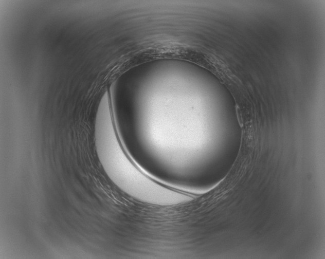 X0000079320916200611170926