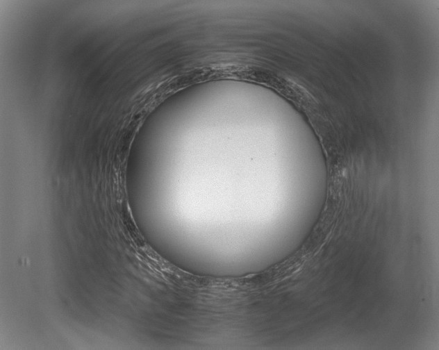 X0000079320917200611170926