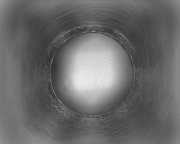 X0000079320919200611170926
