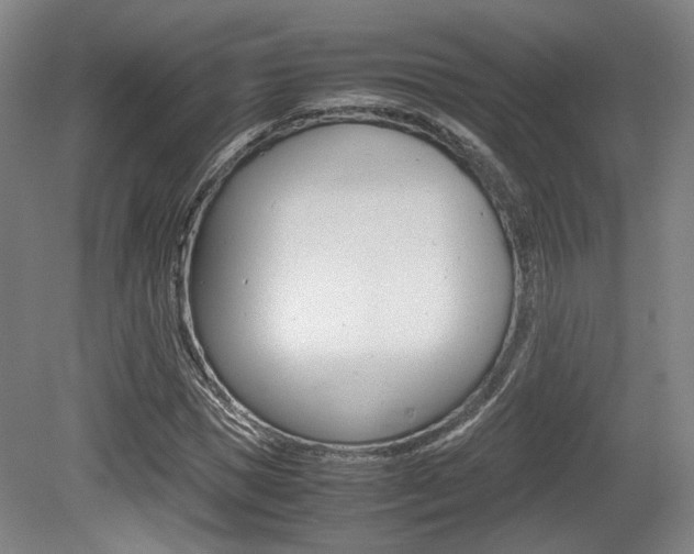 X0000079320921200611170926
