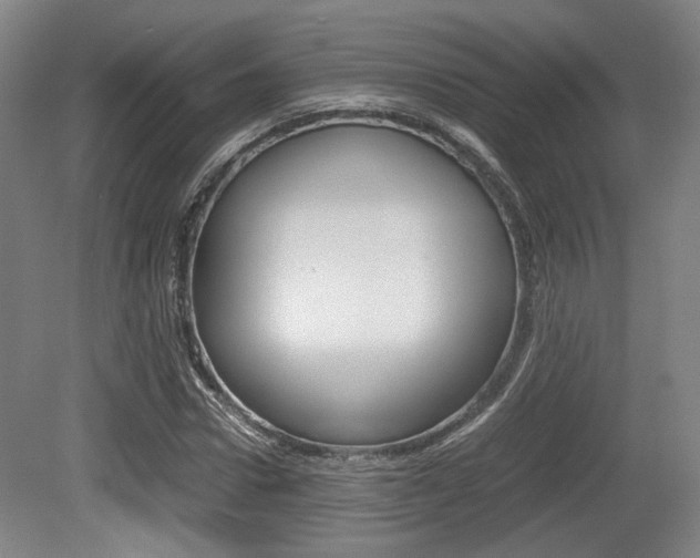 X0000079320922200611170926