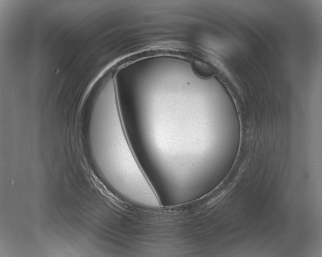 X0000079320923200611170926