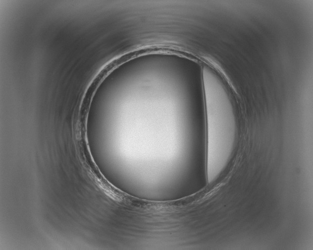 X0000079320924200611170926