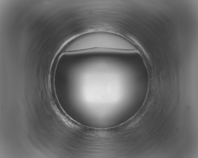 X0000079320932200611170927