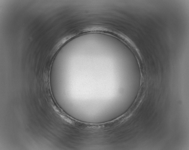 X0000079320937200611170927