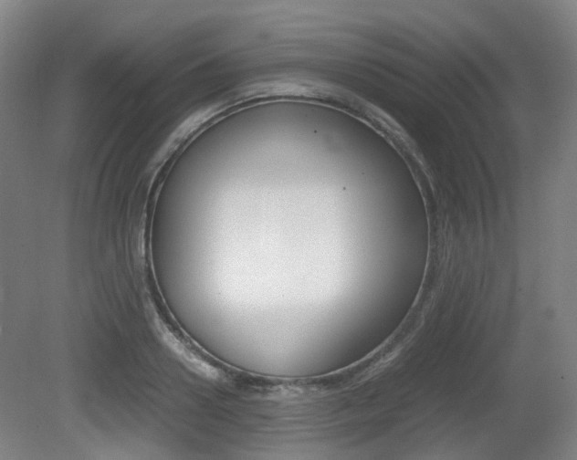 X0000079320938200611170927