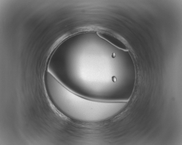 X0000079320946200611170927