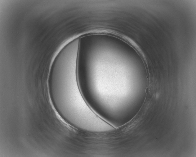 X0000079320951200611170927