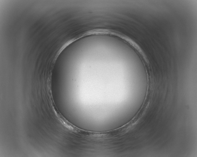 X0000079320953200611170927