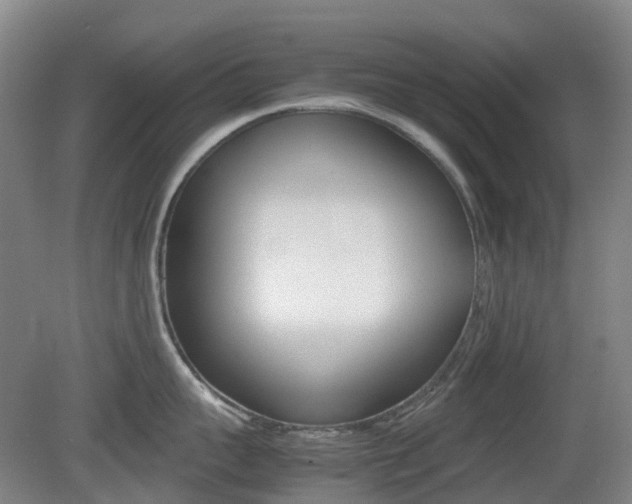 X0000079320959200611170927