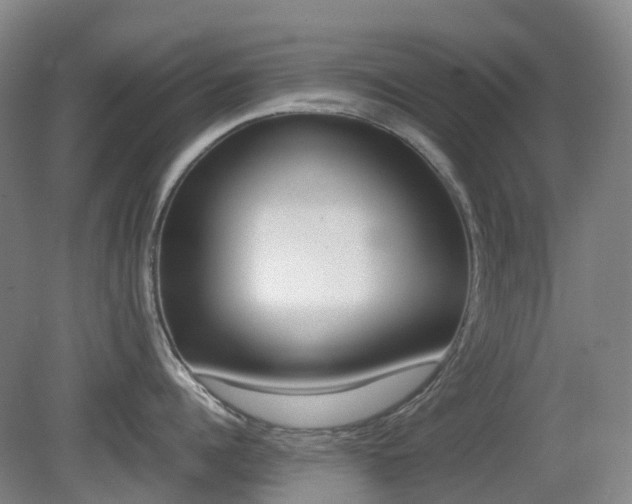 X0000079320960200611170927