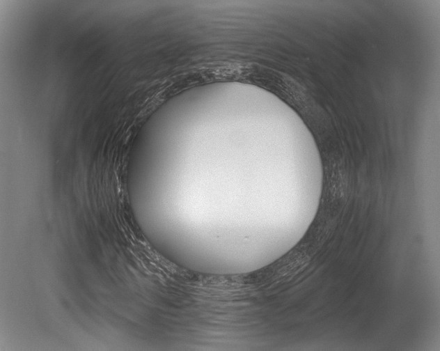 X0000079320962200611170926