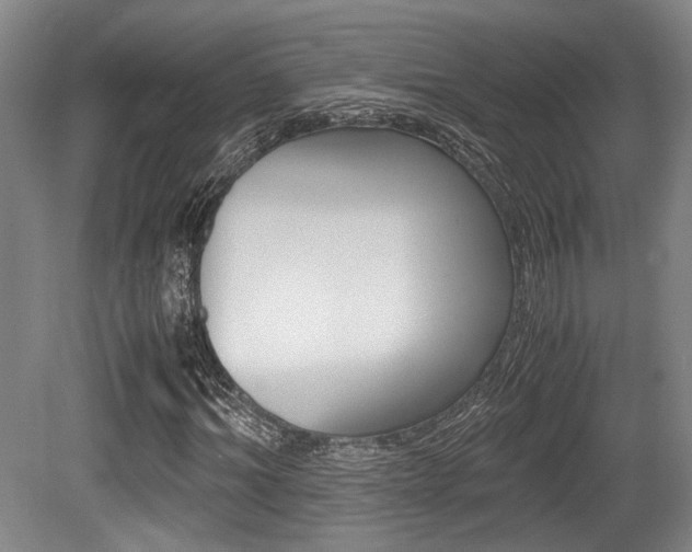X0000079320964200611170926