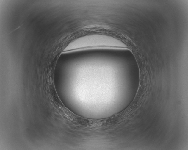 X0000079320965200611170926