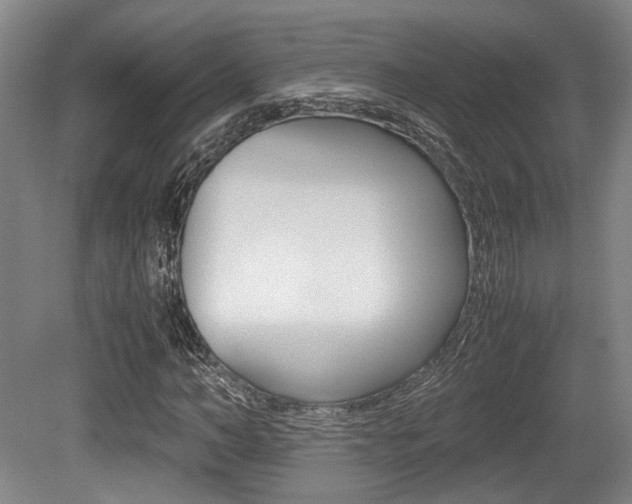 X0000079320966200611170926