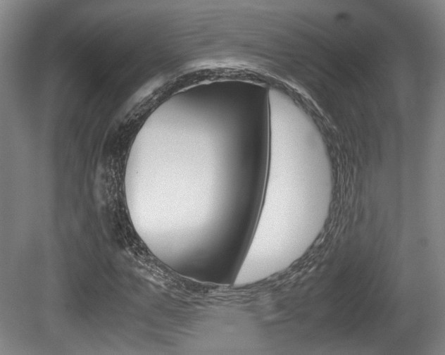 X0000079320967200611170926